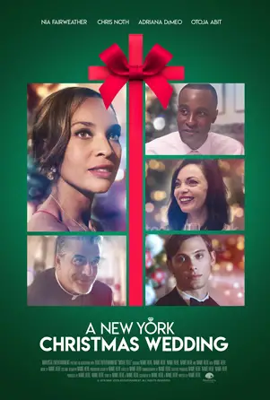 A New York Christmas Wedding Is Heartfelt Surprise
