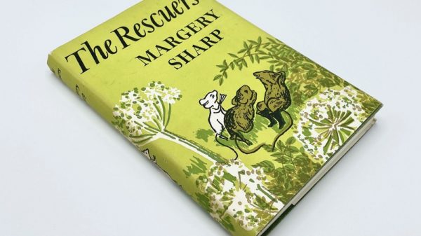 the rescuers book