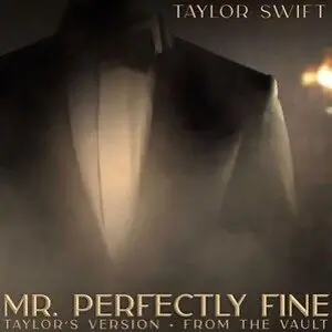 Taylor Swift’s New Song 'Mr. Perfectly Fine' From 2008 Has Me Salivating For More Vault Tracks 2