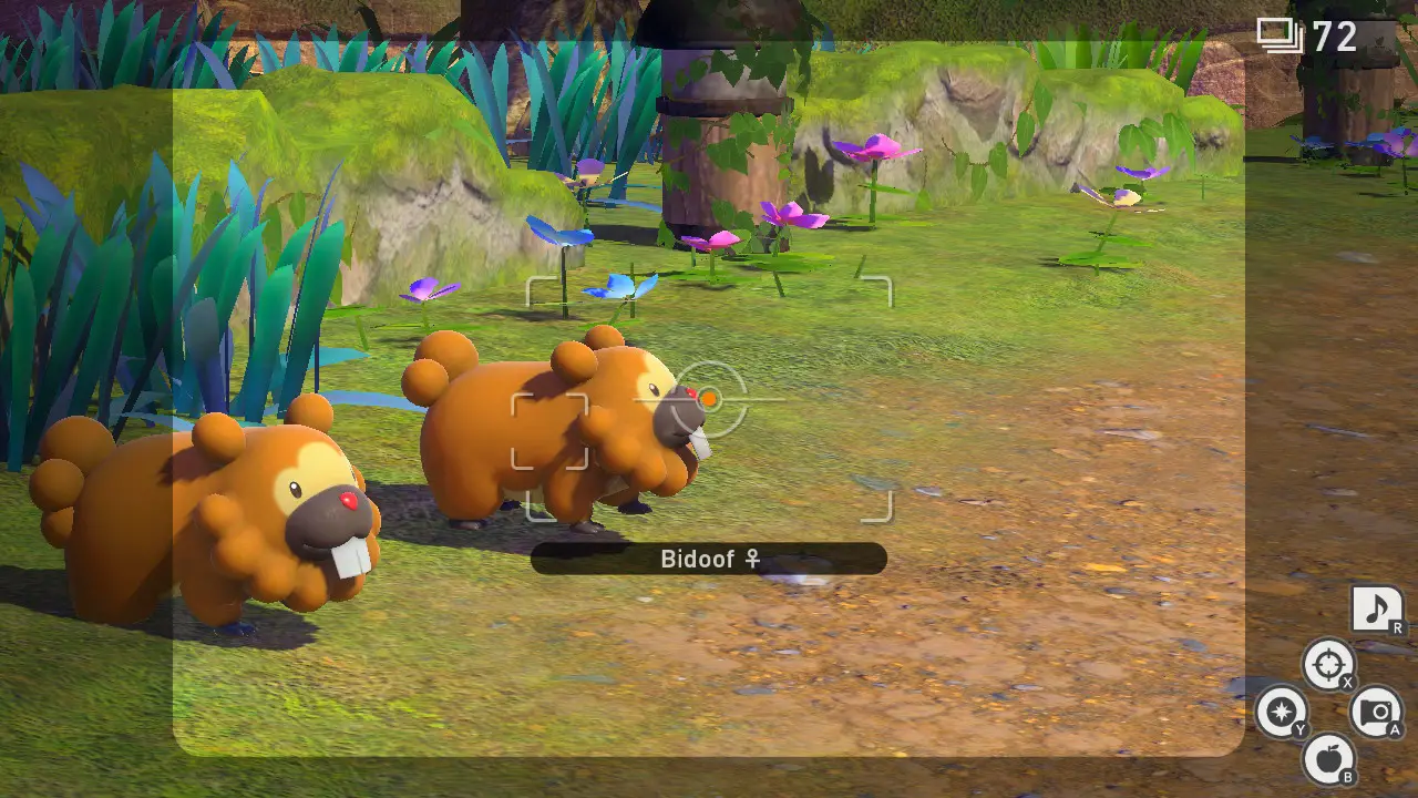 Two beaver pokemon - Bidoof - stumble across the path of the player, waiting to be photographed.