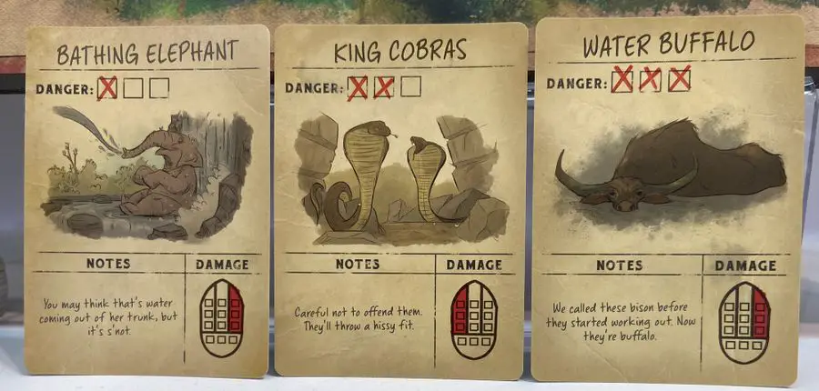 Students play The Jungle Cruise Adventure Game And Chart Their Own Journey 2 Jungle Cruise cards