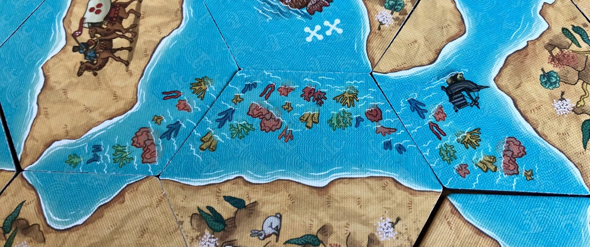 Land vs Sea Lays it Out On the Map 4 land vs sea coral