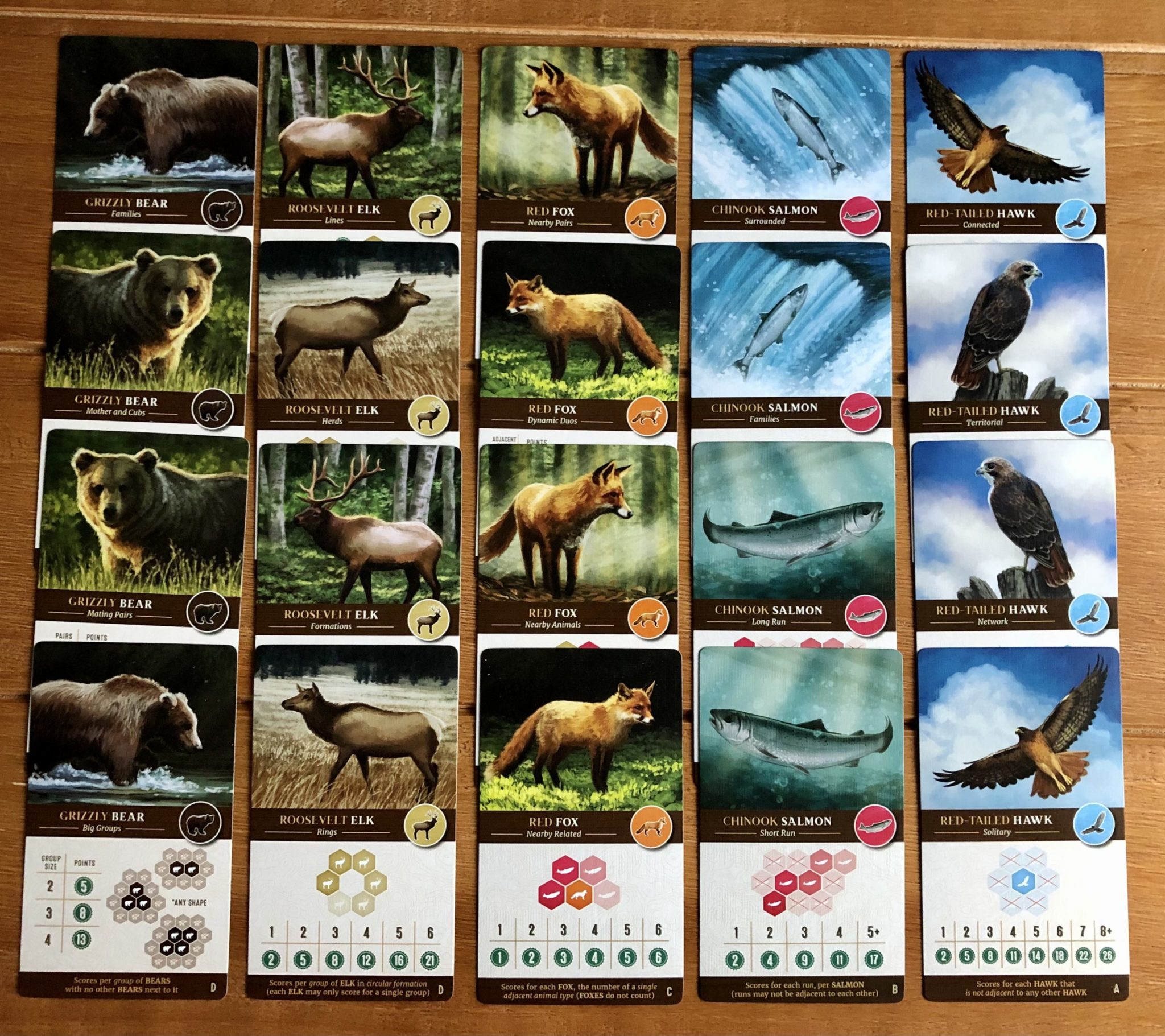 cascadia animal cards