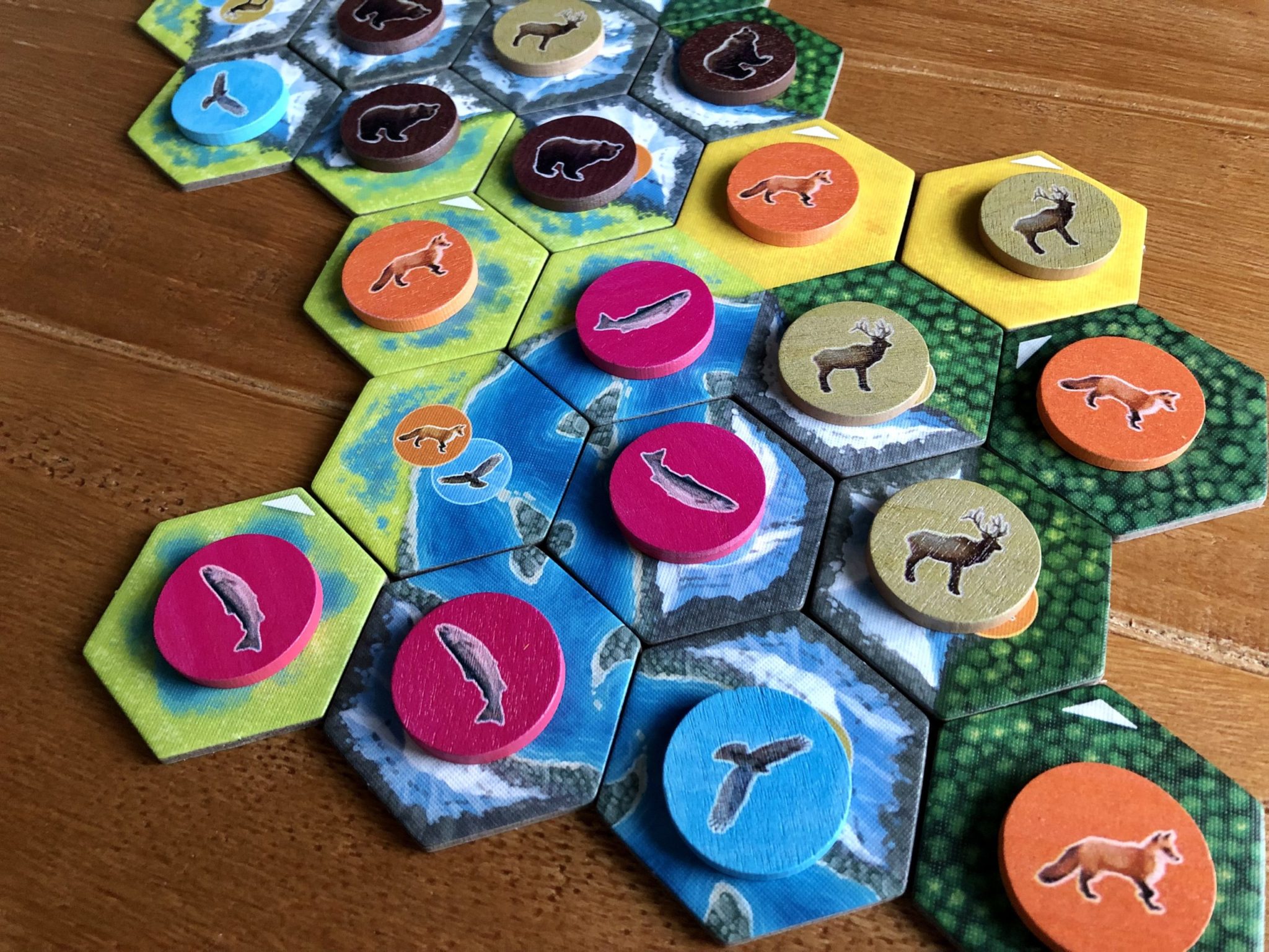 Nature Provides Beautiful Freedom In 'Cascadia' 4 Cascadia habitat layout