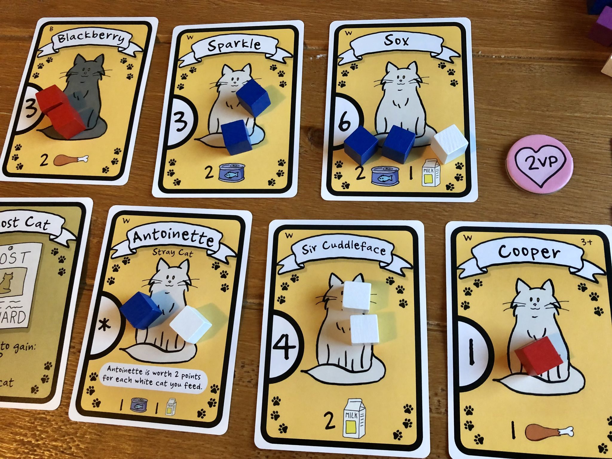 Certify Yourself As The One And Only 'Cat Lady' 3 cat lady cats being fed