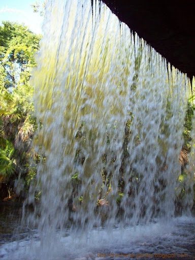 Jungle Cruise Back Side of Water