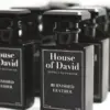 house of david
