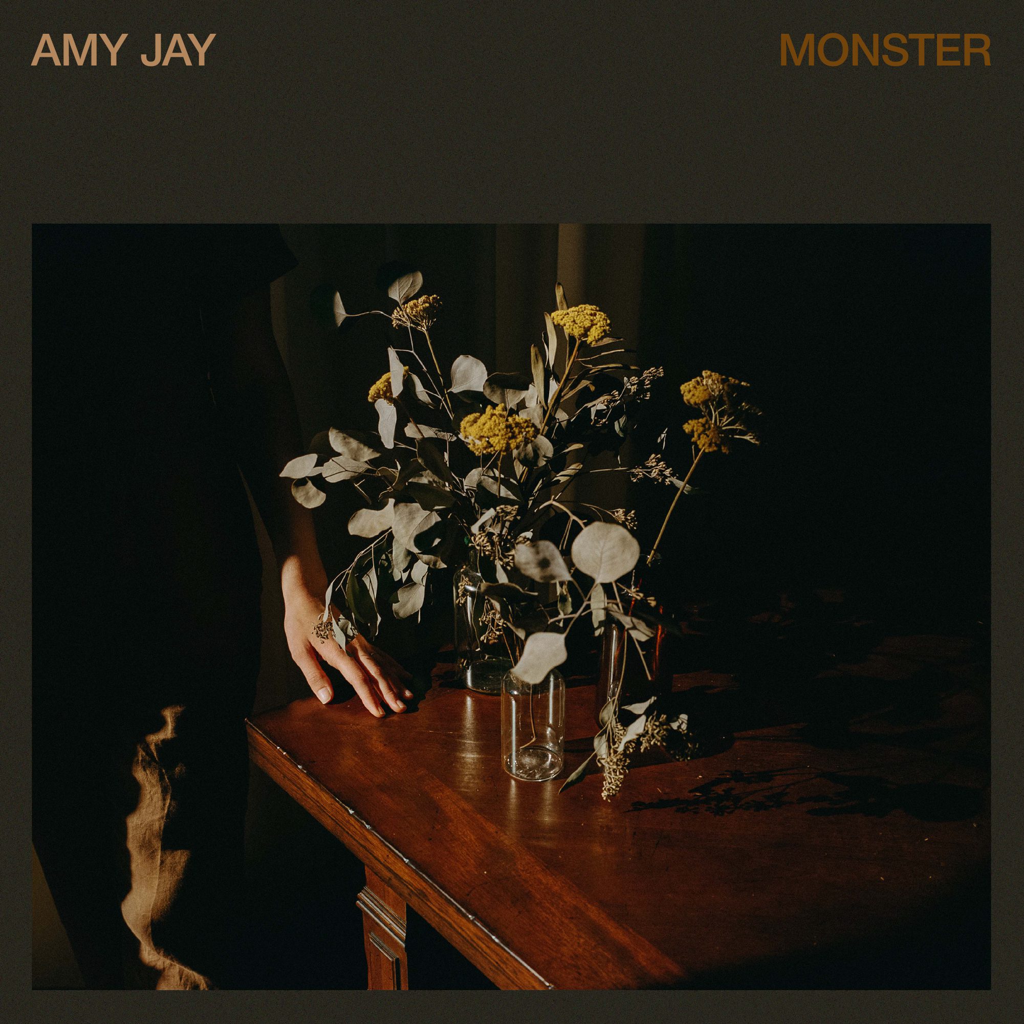 Indie-Folk Artist Amy Jay Releases Debut Album 'Awake Sleeper' 6
