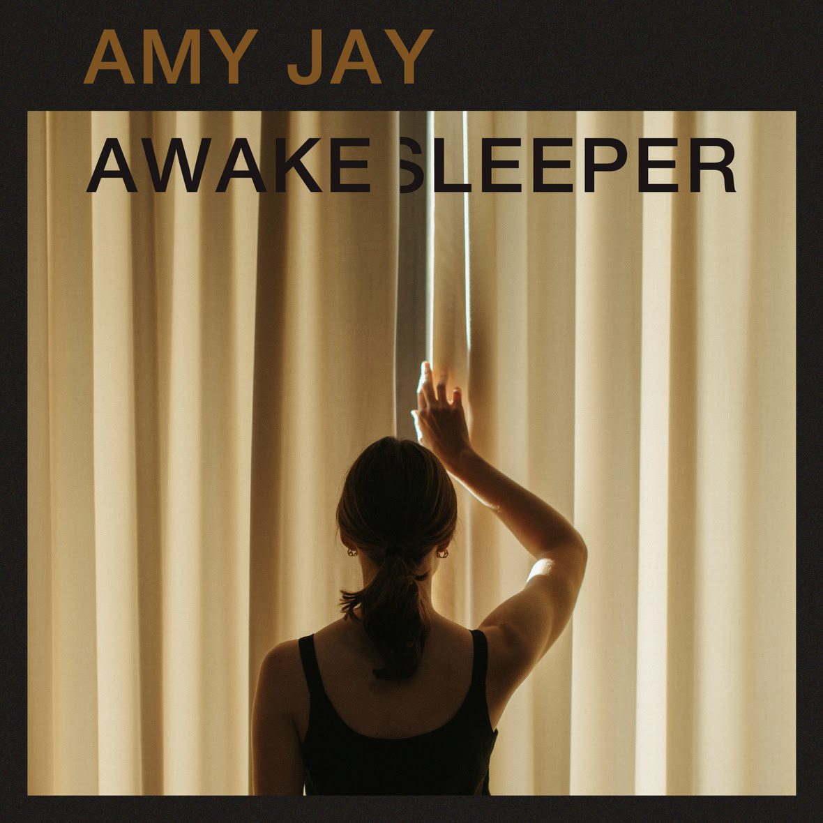 Awake Sleeper cover art
