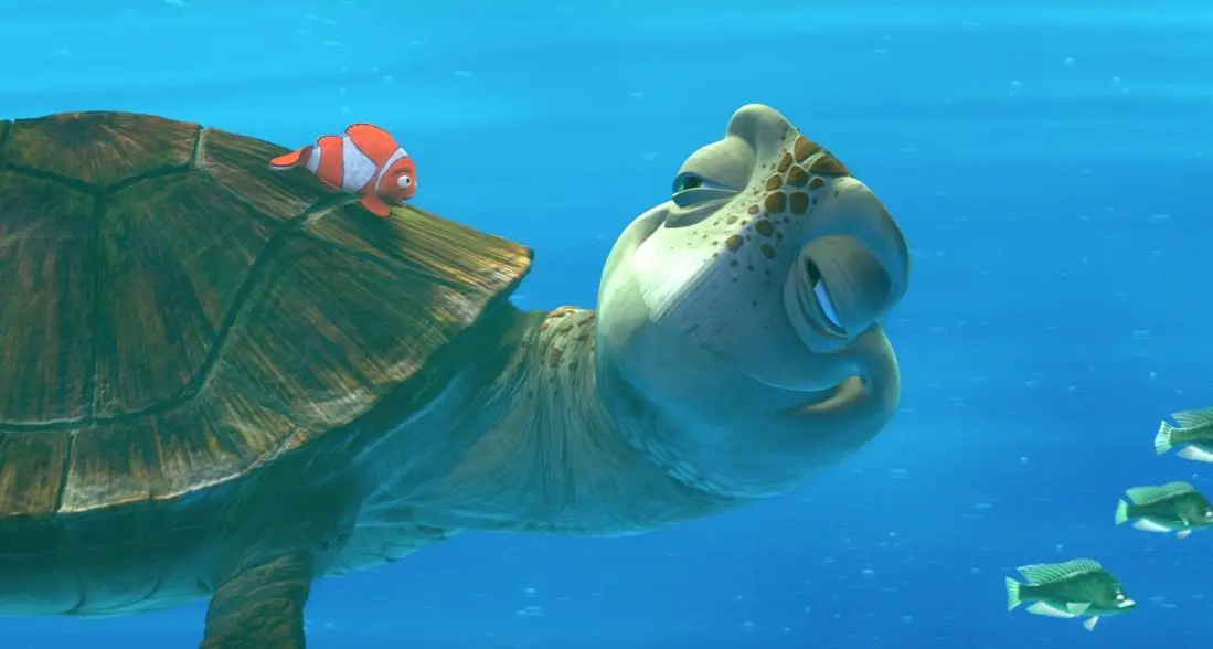 marlin and crush in finding nemo hi res