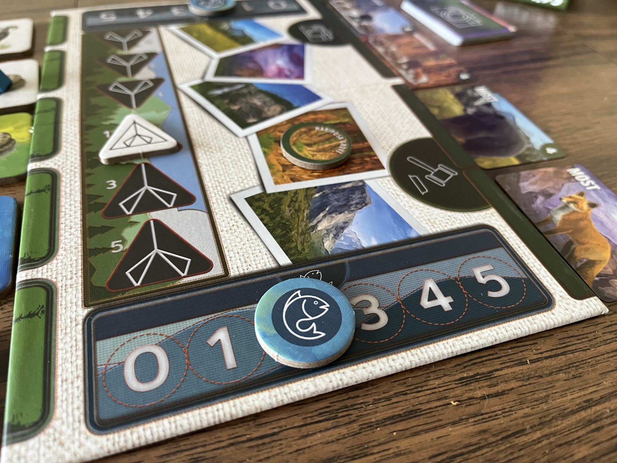 Yosemite Board Game fishing track