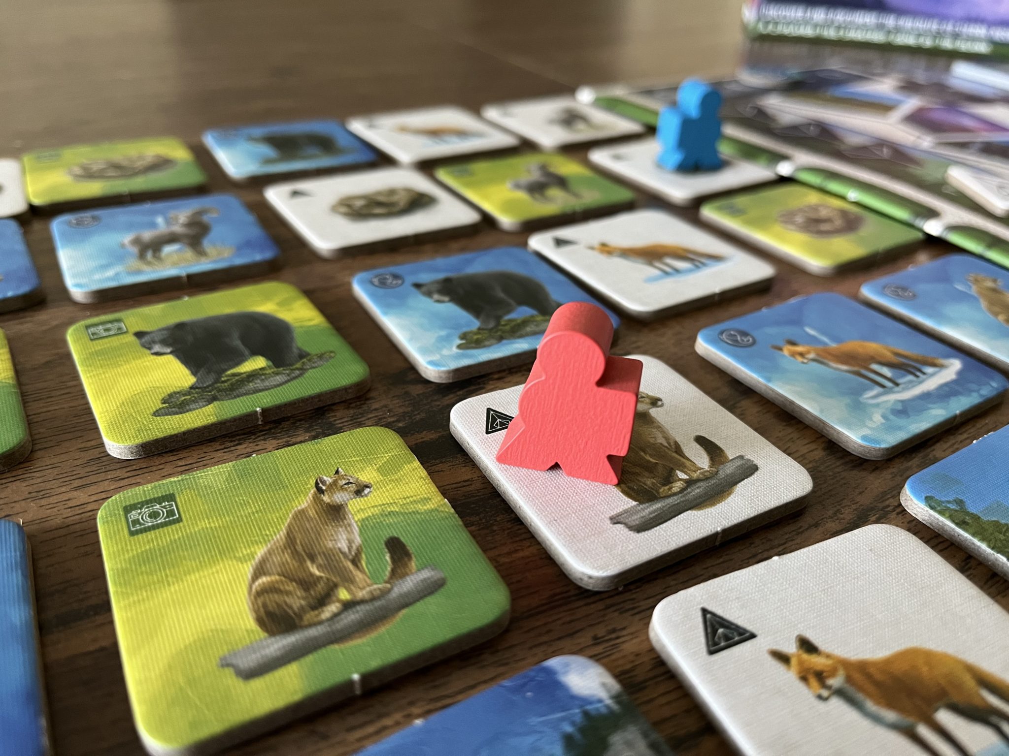 Yosemite Board Game tiles and maples