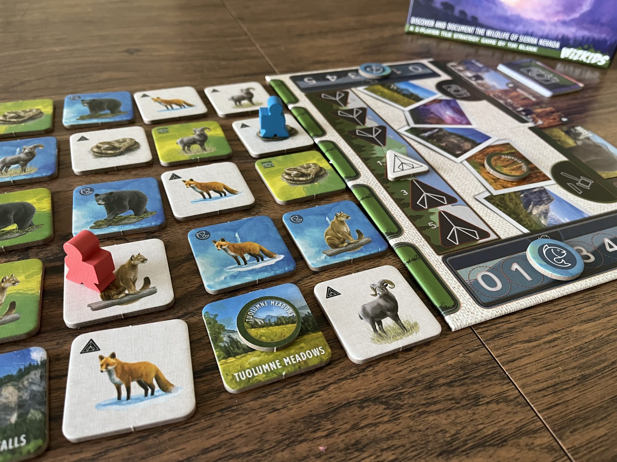 'Yosemite' Lets You Visit Yosemite National Park Without Stepping Foot Inside 2 Yosemite Board Game playing