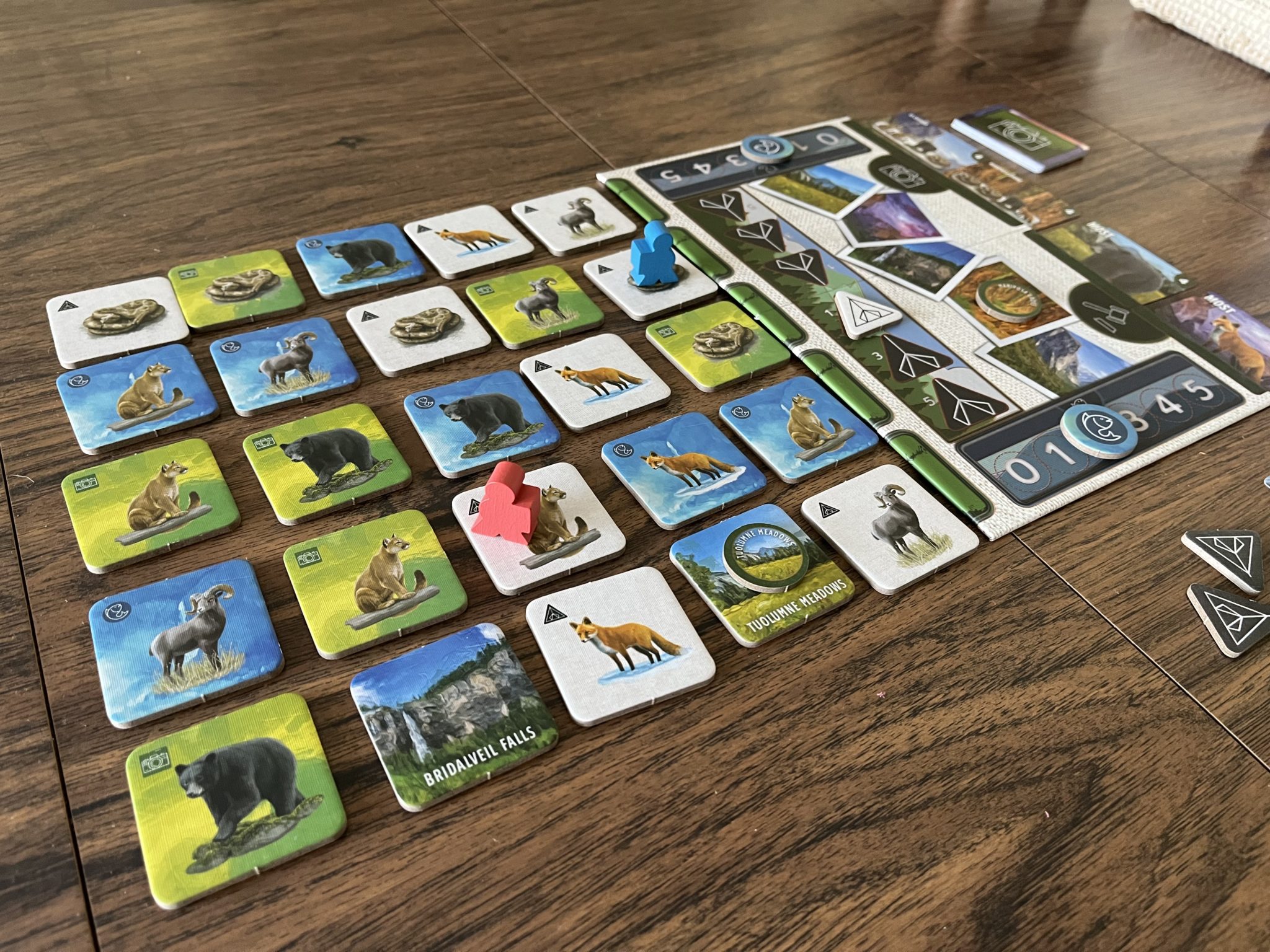 Yosemite Board Game on the table