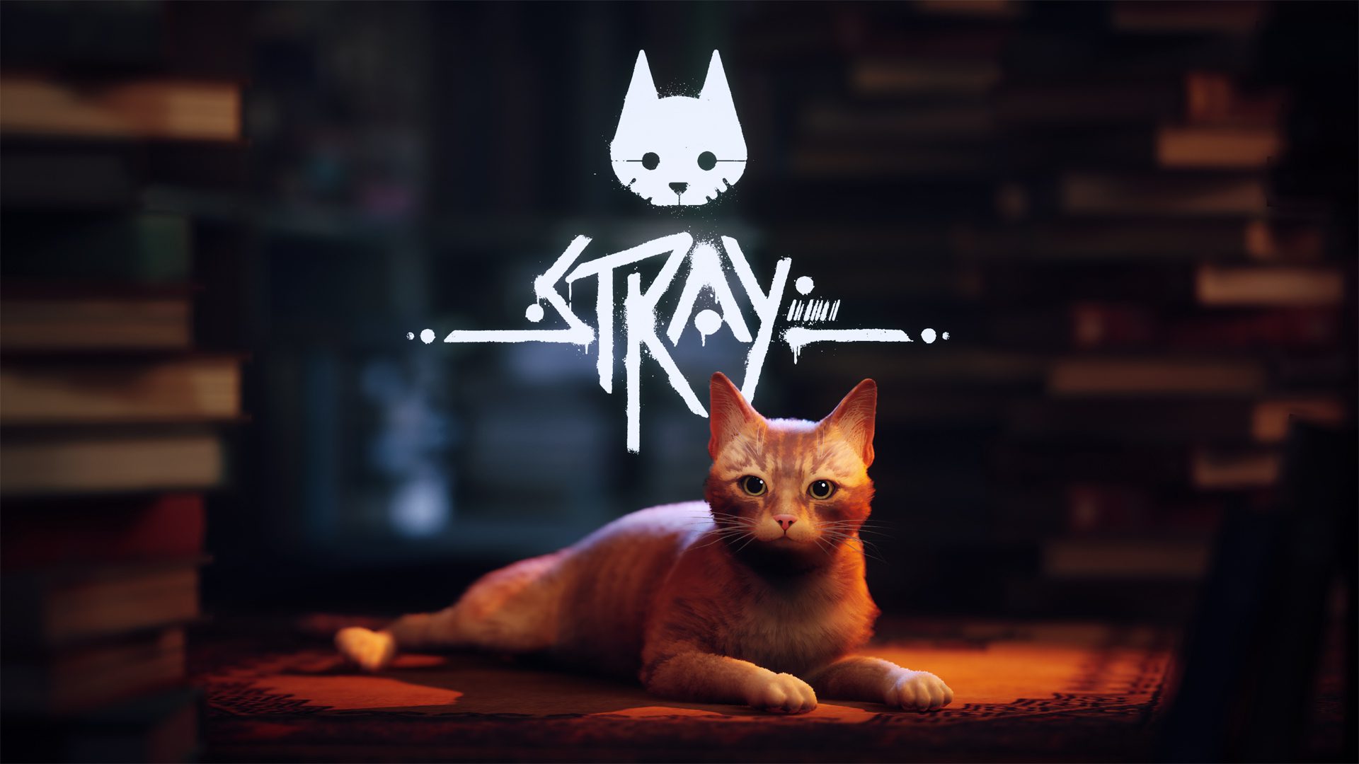 I played Stray in a cat cafe and it was purrfect