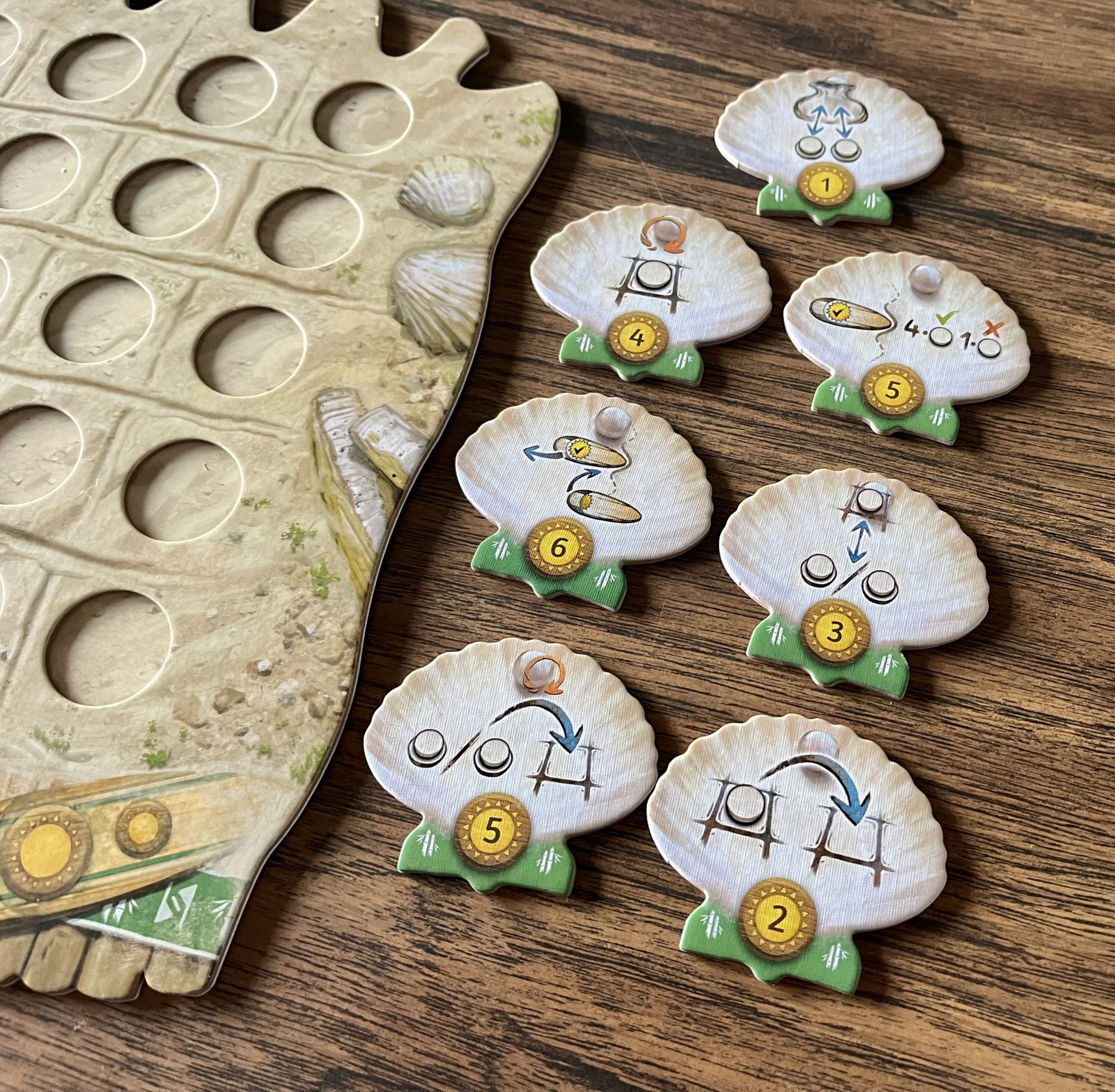 Use Seashells And Surfboards To Complete Patterns In 'Fyfe' 6 Fyfe seashells