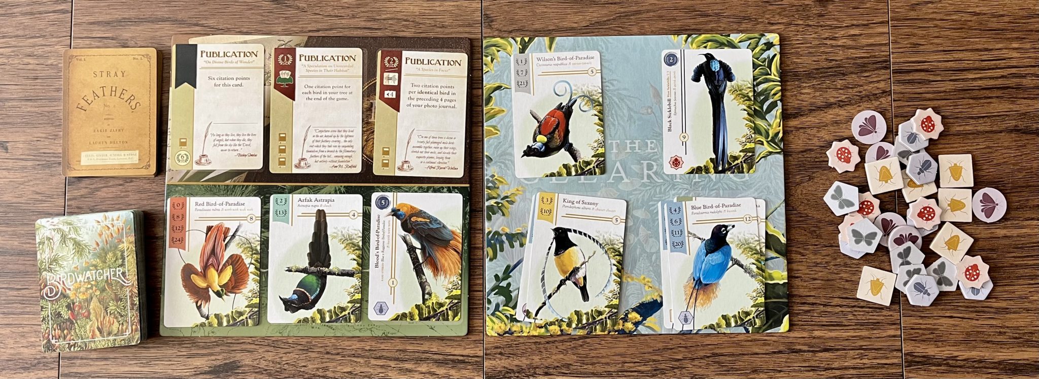 Birds Of A Feather Play This Game Together - Birdwatcher Review 11