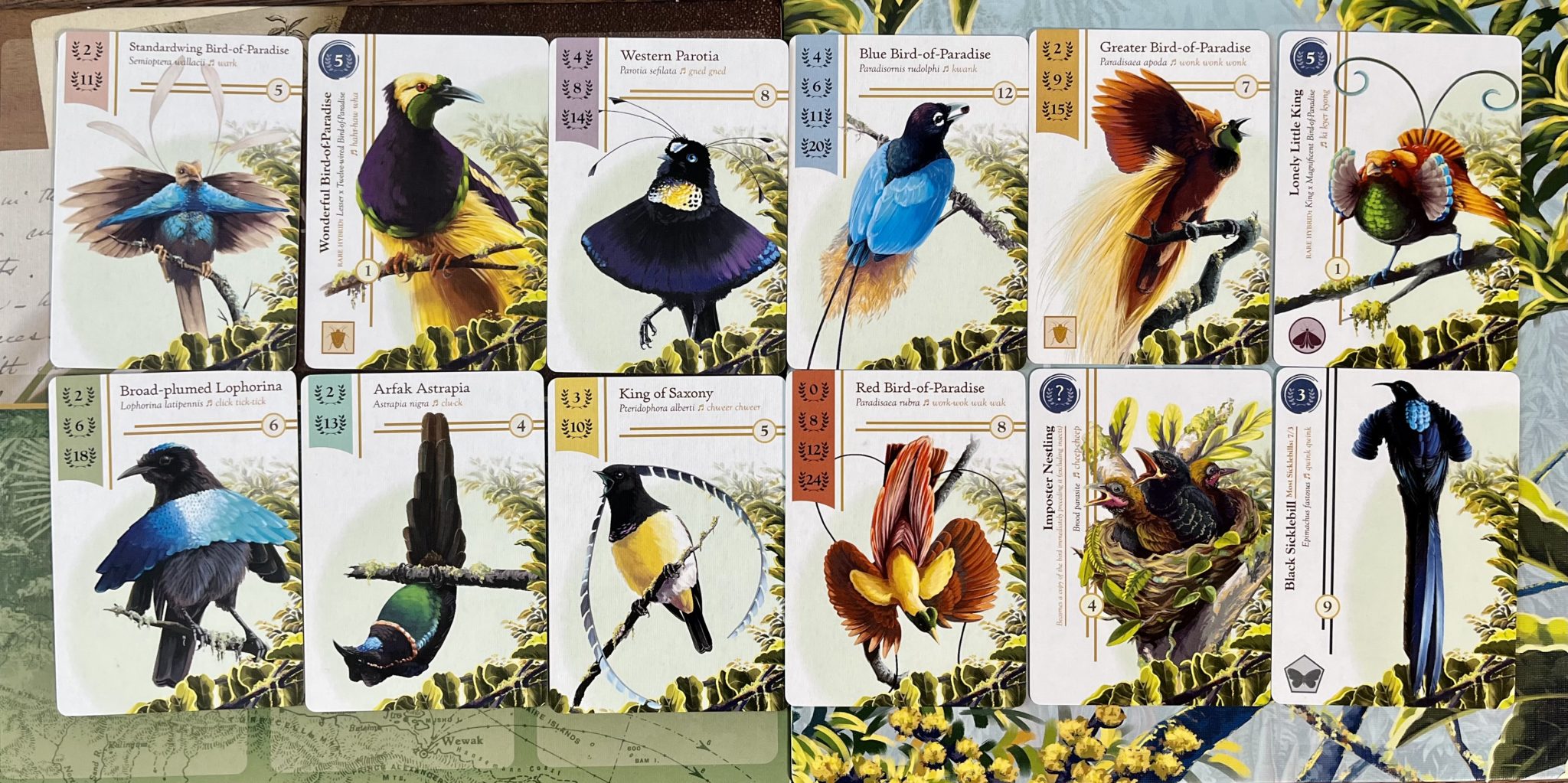 Birds Of A Feather Play This Game Together - Birdwatcher Review 3