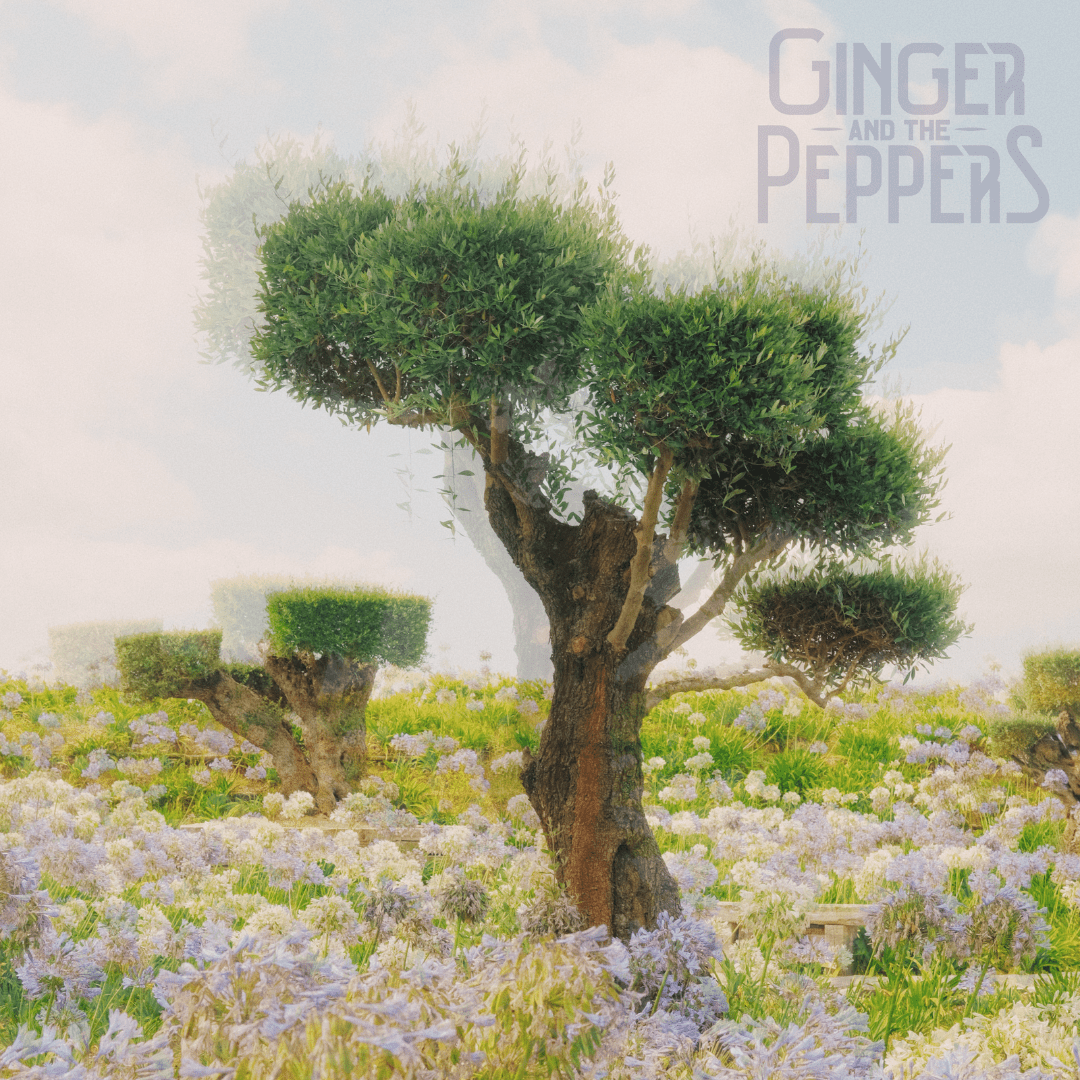 Ginger And The Peppers Introduce Themselves To The World With New Video 3