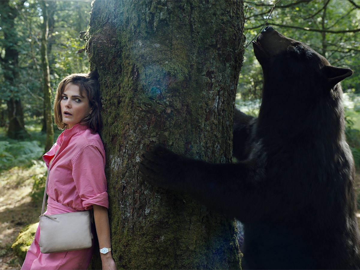 No Country for an Old 'Cocaine Bear' 1 cocaine bear