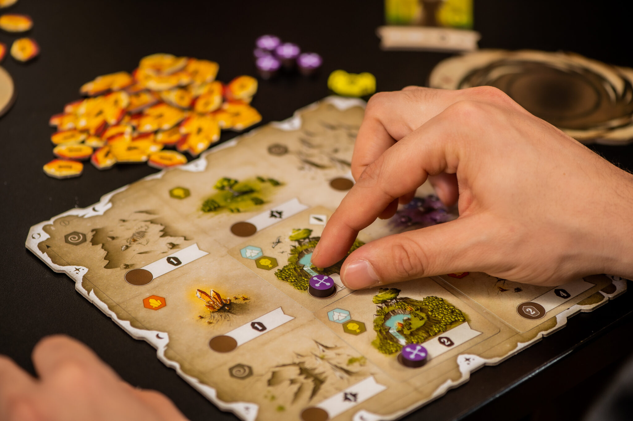 Hachette Announces New Game 'Rauha' From Creators Of 'Nidavellir' 4