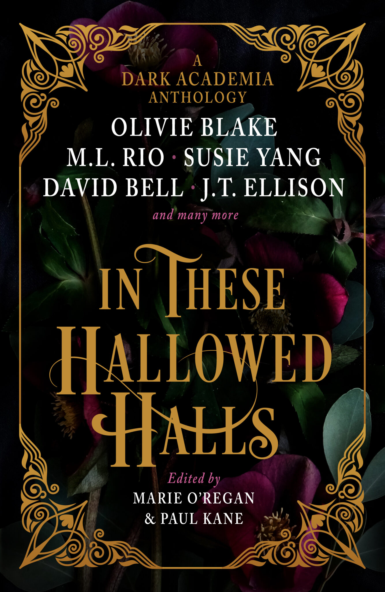 Cover of In These Hallowed Halls: A Dark Academia Anthology