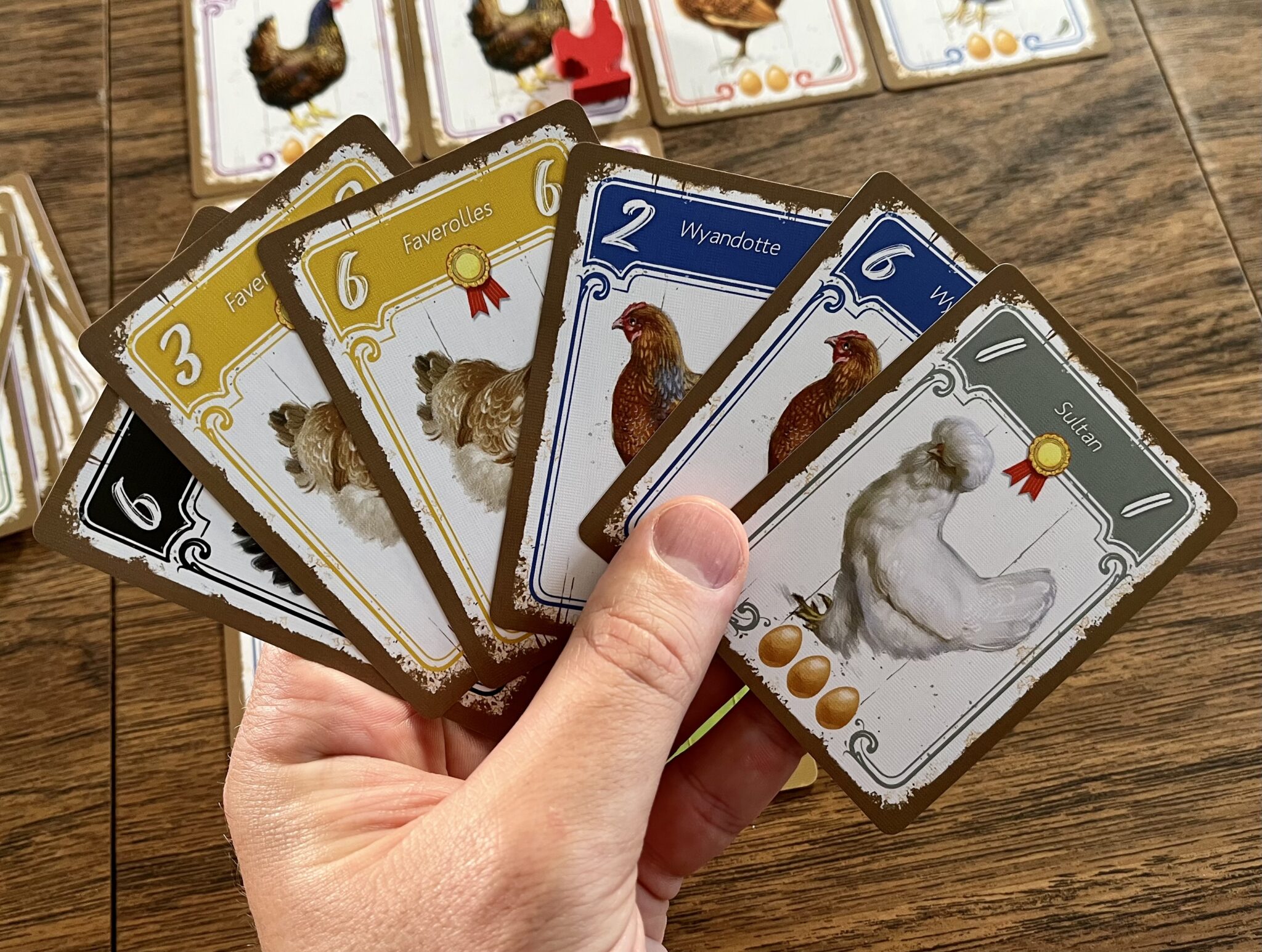 Hens hand of cards
