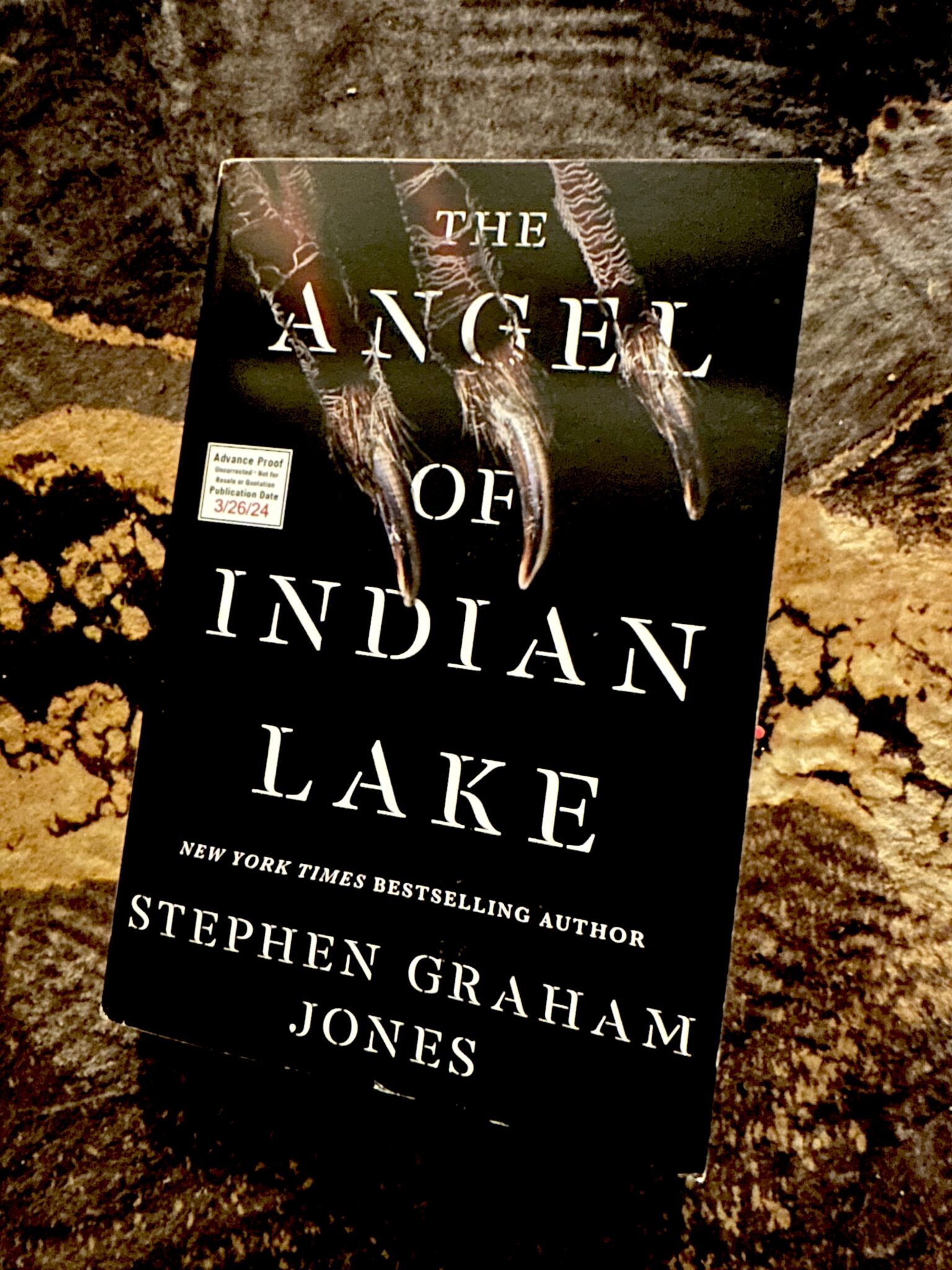 The Angel of Indian Lake