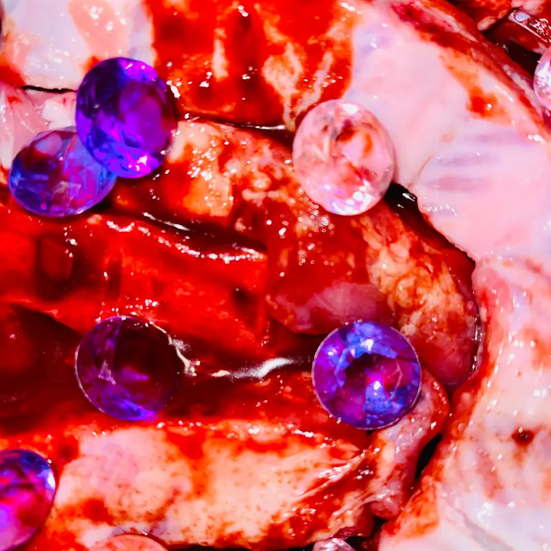 Playing With Meat And Gems: Banana Chan On Exploring The Dark Side Of Fashion In Knockoff 3 Beef and Gems up close